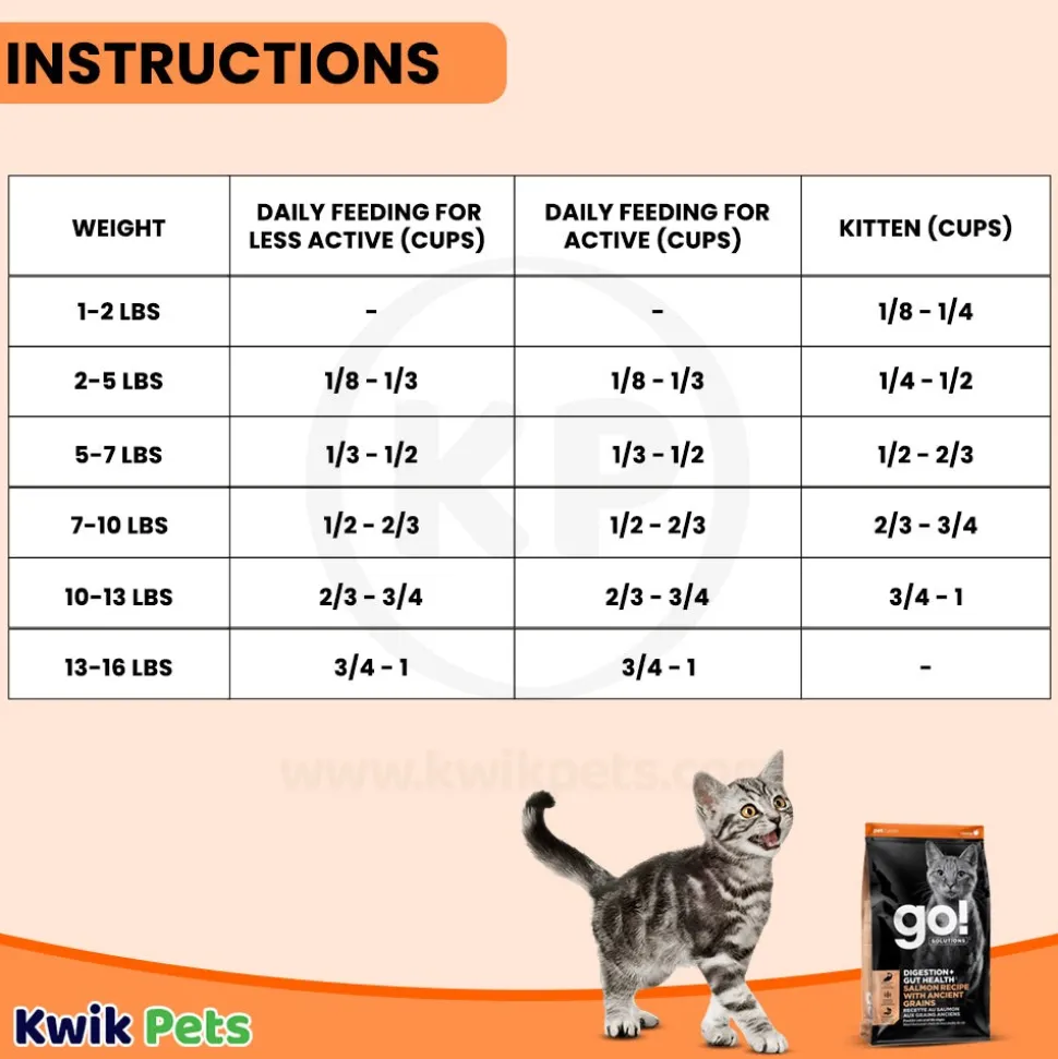 Petcurean Go! Solutions Digestion & Gut Health Dry Cat Food Salmon with Ancient Grains 3-lb