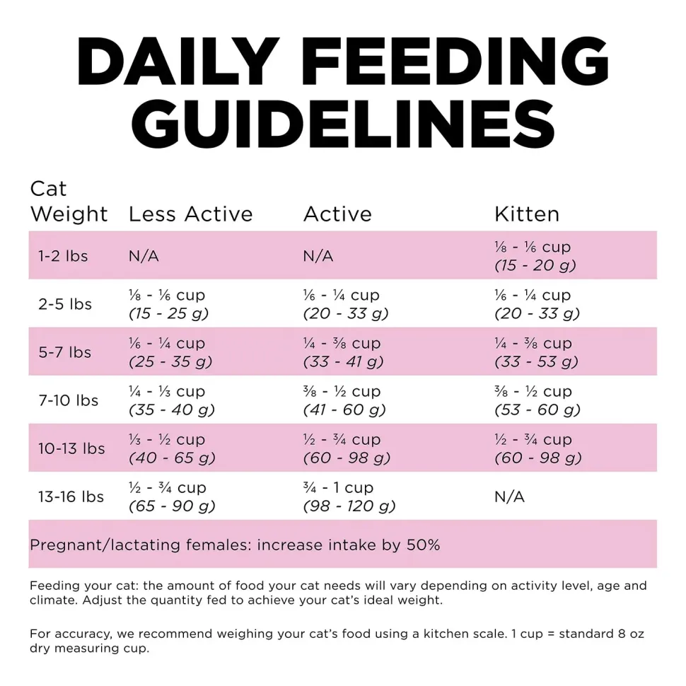 Petcurean Go! Solutions Skin & Coat Care Dry Cat Food Chicken with Grains 3-lb