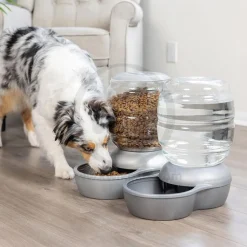Petmate Replendish Automatic Dog & Cat Gravity Feeder with Microban Pearl Peacock Blue Extra Small