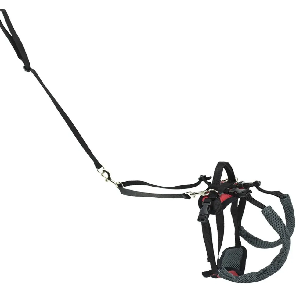 PetSafe CareLift Rear Support Dog Harness Black & Red Small