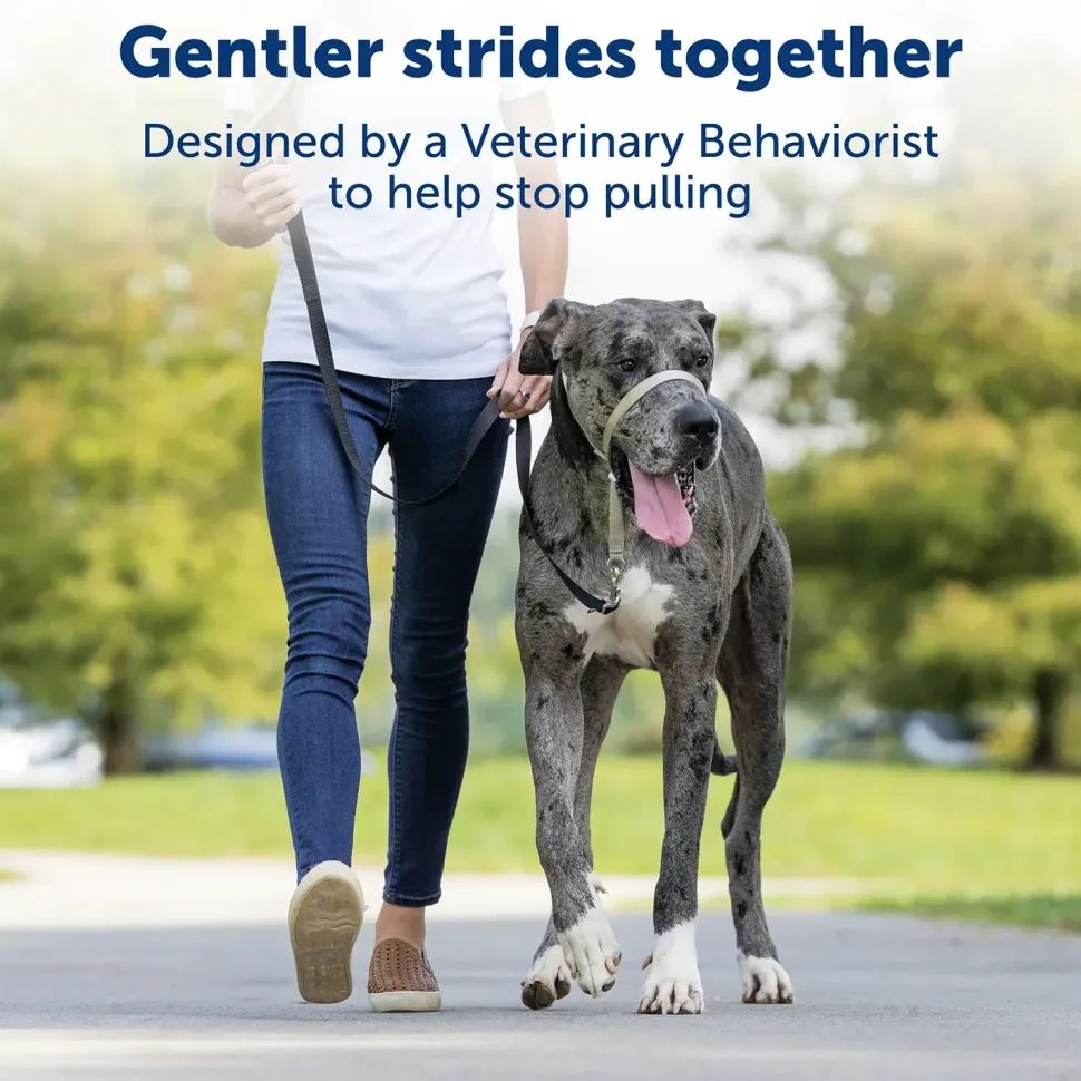 PetSafe Gentle Leader No-Pull Dog Headcollar Red Large