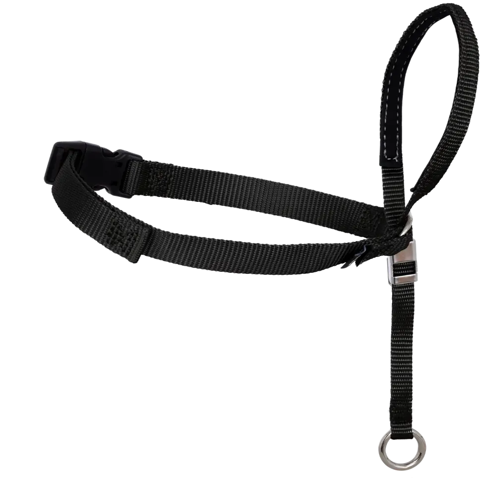 PetSafe Gentle Leader No-Pull Dog Headcollar Black Medium