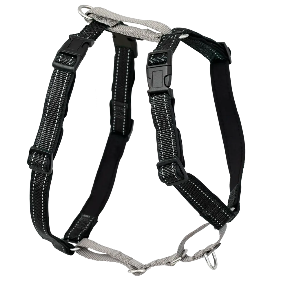 PetSafe 3-in-1 Reflective Dog Harness with Car Control Strap Black Large