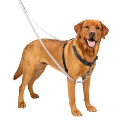 PetSafe 3-in-1 Reflective Dog Harness with Car Control Strap Black Large