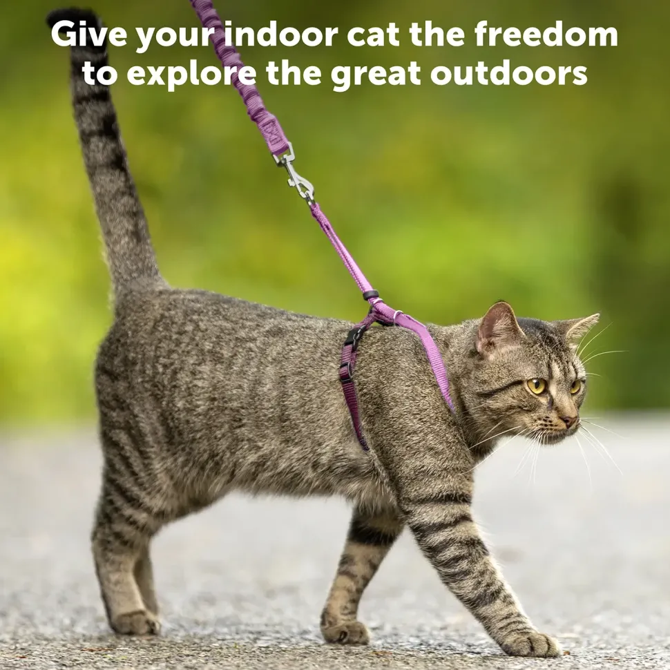 PetSafe Premier Come With Me Kitty Harness & Bungee Leash Combo Royal Blue/Navy Large
