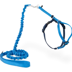 PetSafe Premier Come With Me Kitty Harness & Bungee Leash Combo Royal Blue/Navy Large