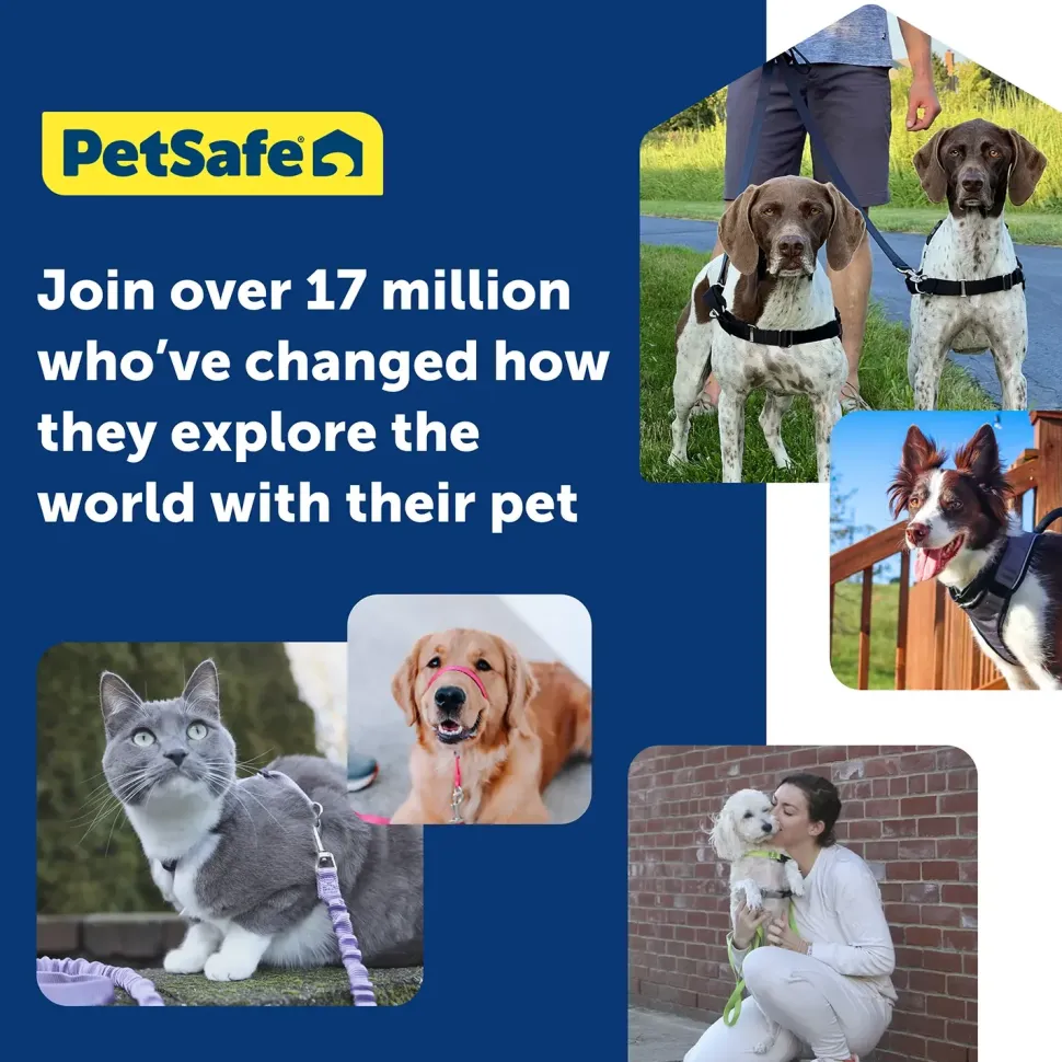 PetSafe Premier Come With Me Kitty Harness & Bungee Leash Combo Royal Blue/Navy Large
