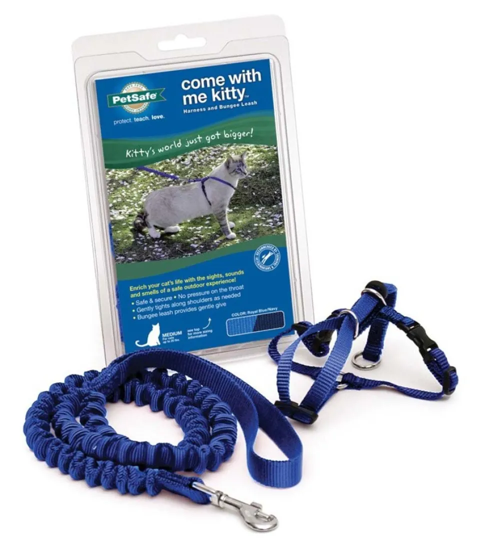 PetSafe Premier Come With Me Kitty Harness & Bungee Leash Combo Royal Blue/Navy Medium