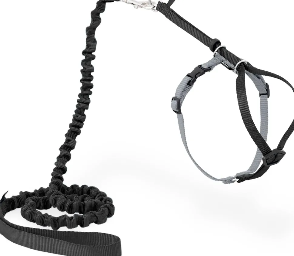 PetSafe Premier Come With Me Kitty Harness & Bungee Leash Combo Black/Silver Small