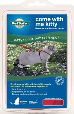 PetSafe Premier Come With Me Kitty Harness & Bungee Leash Combo Red/Cranberry Medium
