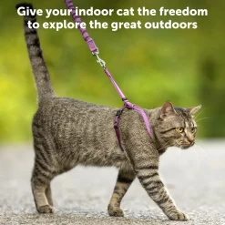 PetSafe Premier Come With Me Kitty Harness & Bungee Leash Combo Red/Cranberry Medium