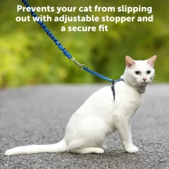PetSafe Premier Come With Me Kitty Harness & Bungee Leash Combo Red/Cranberry Medium