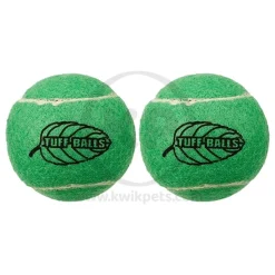 Petsport USA Mint Balls Dog Toy Green 2 Count 2.5-in