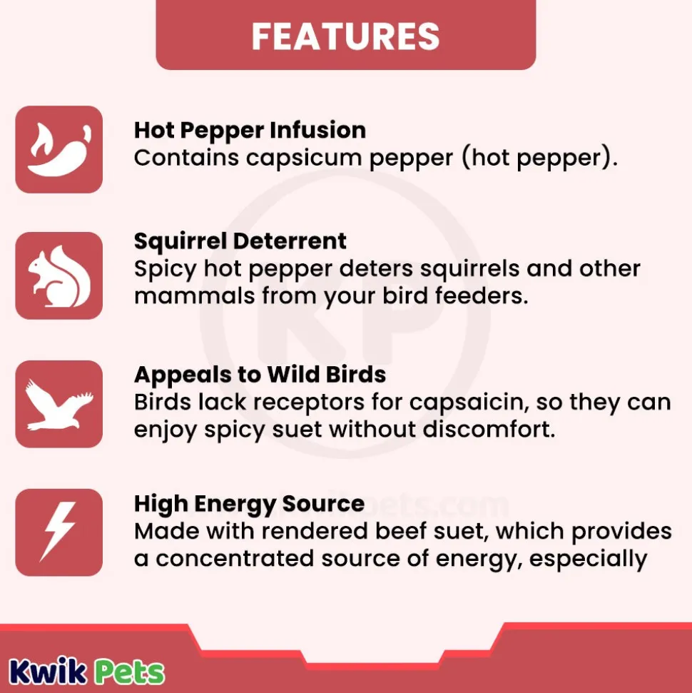 Pine Tree Farms Hot Pepper Suet Cake Wild Bird Food 12-oz