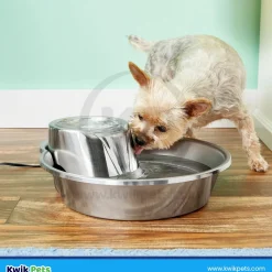 Pioneer Pet Big Max Stainless Steel Dog & Cat Drinking Fountain 128-oz