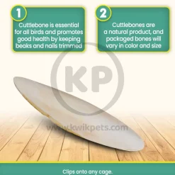 Prevue Pet Products Cuttlebone for Birds Large 6-in