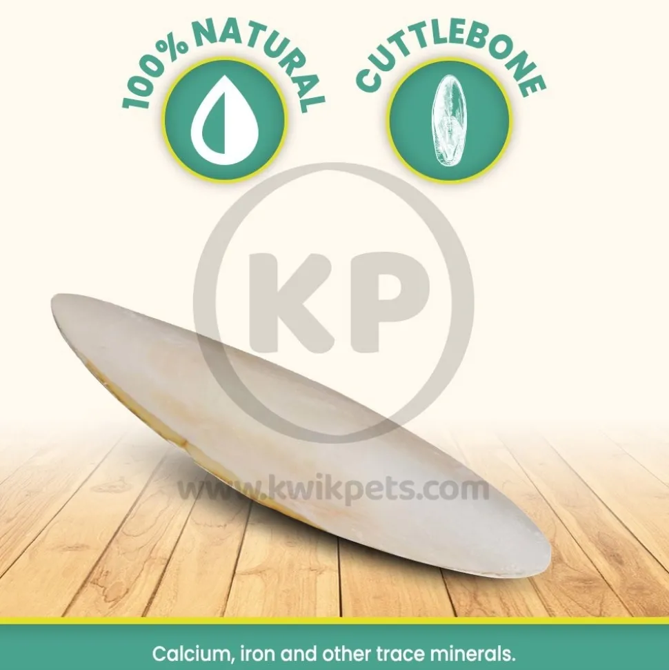 Prevue Pet Products Cuttlebone for Birds Large 6-in