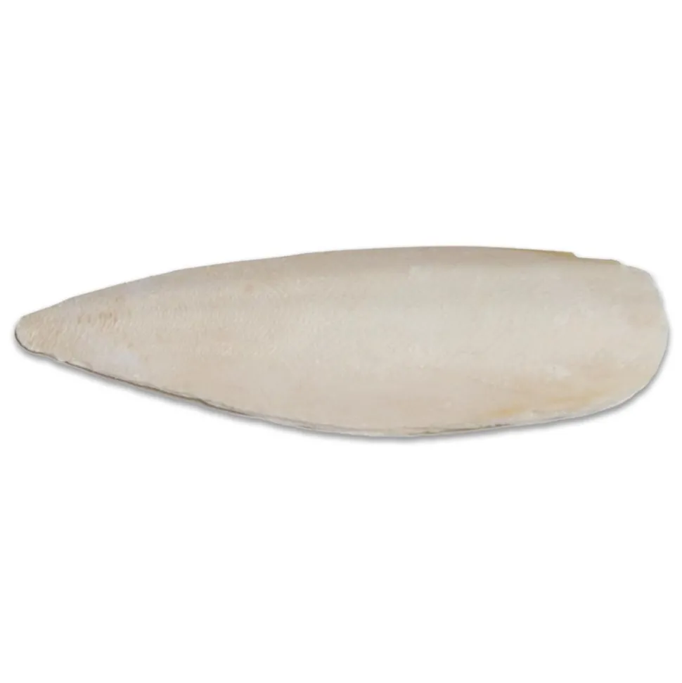 Prevue Pet Products Cuttlebone for Birds Small 4-in
