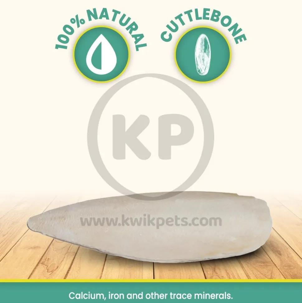 Prevue Pet Products Cuttlebone for Birds Small 4-in