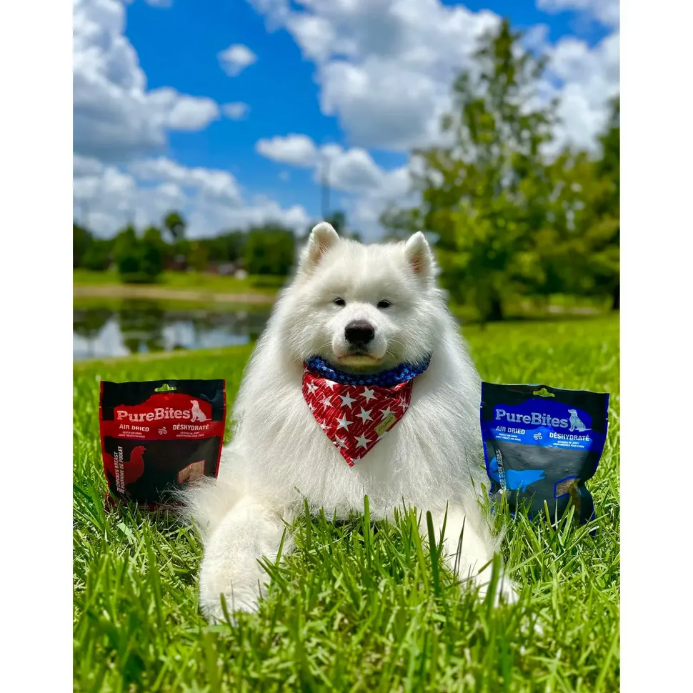 PureBites Chicken Air-Dried Jerky Dog Treats 5.5-oz