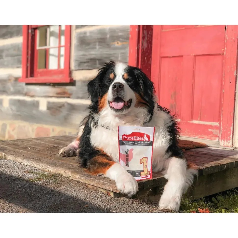 PureBites Chicken Freeze-Dried Pure Dog Treats 28-oz