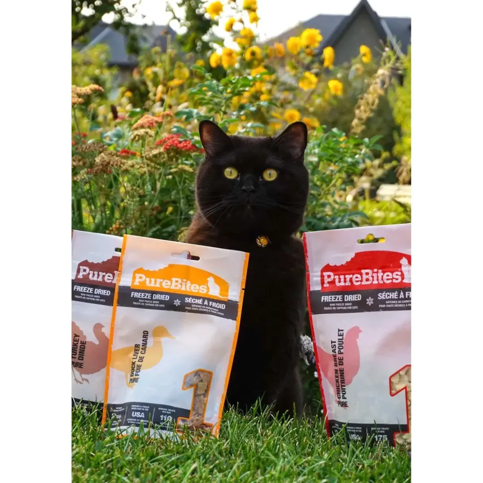 PureBites Duck Liver Freeze-Dried Cat Treats 1.05-oz