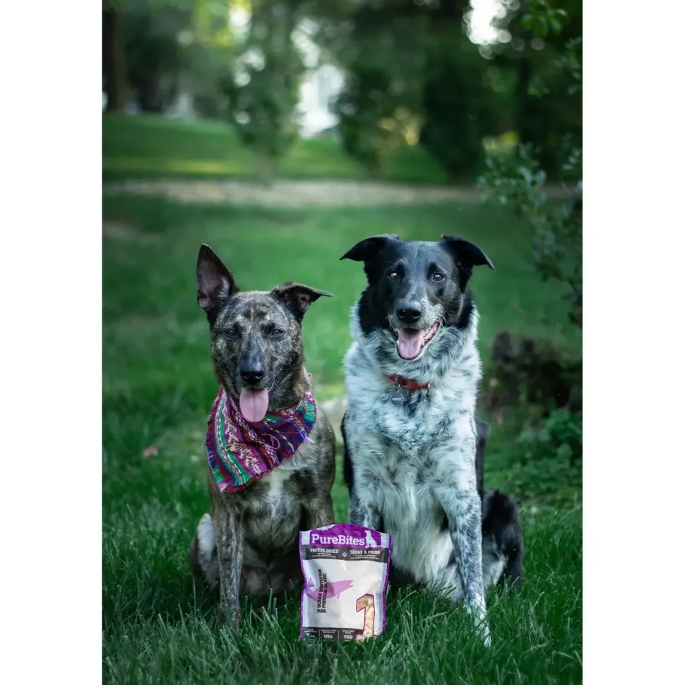PureBites Ocean Whitefish Freeze-Dried Pure Dog Treats 1.8-oz
