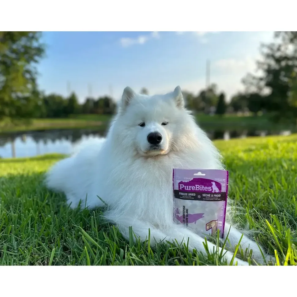 PureBites Ocean Whitefish Freeze-Dried Pure Dog Treats 1.8-oz