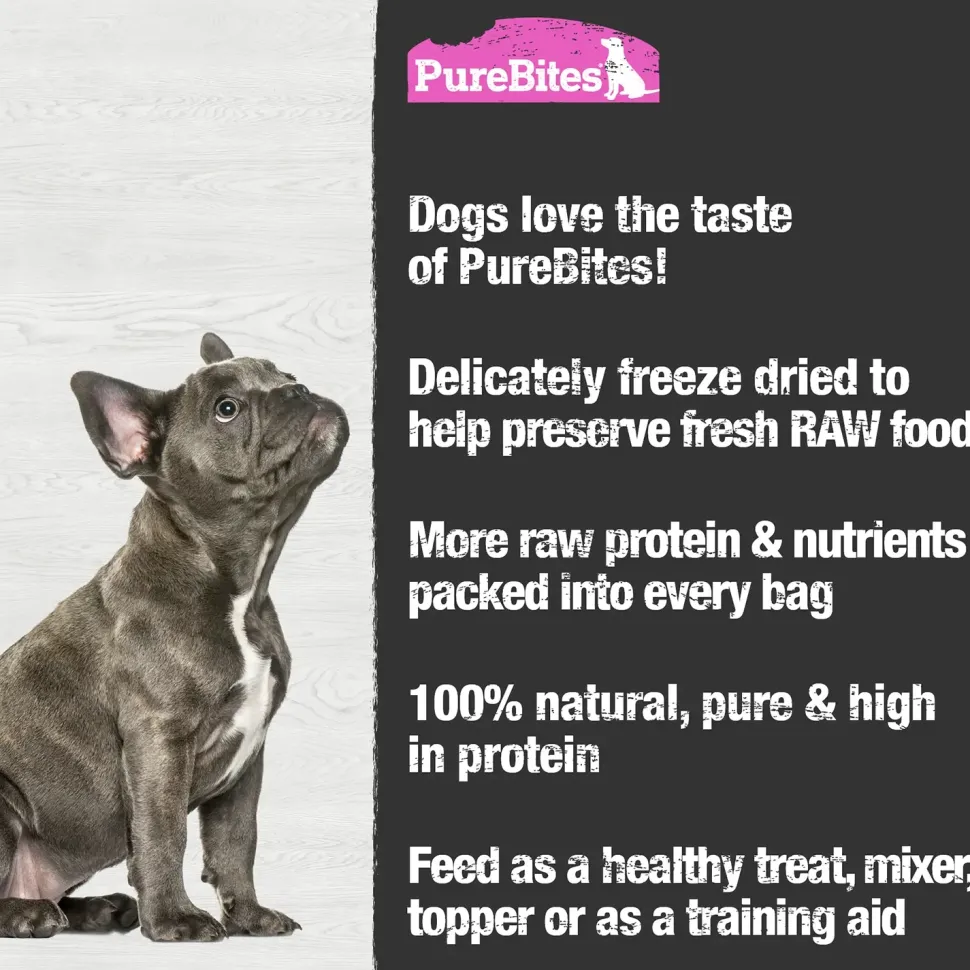 PureBites Salmon Freeze-Dried Pure Dog Treats 2.47-oz