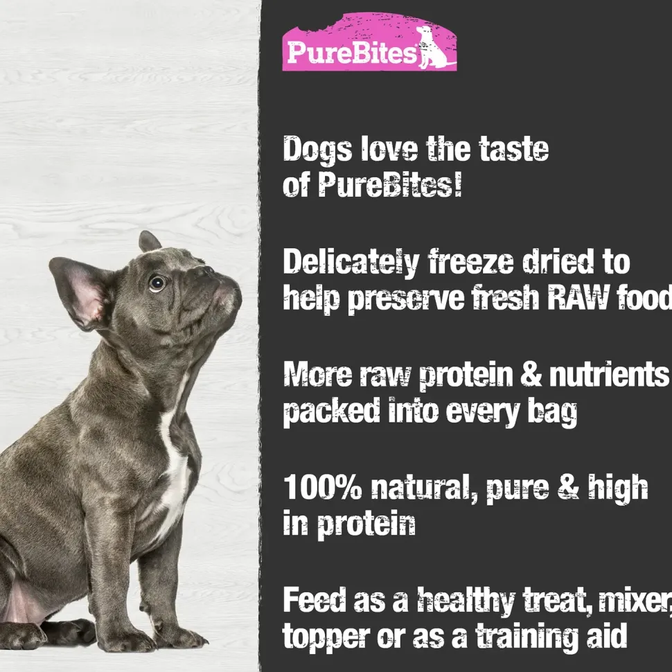 PureBites Salmon Freeze-Dried Pure Dog Treats 9.5-oz