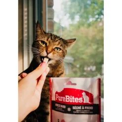 PureBites Whitefish Freeze-Dried Cat Treats 0.7-oz