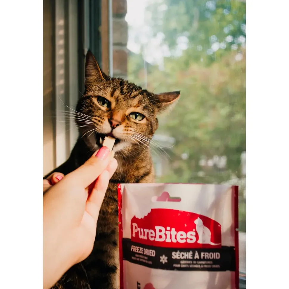 PureBites Whitefish Freeze-Dried Cat Treats 0.7-oz