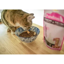 PureBites Wild-Caught Salmon Freeze-Dried Pure Cat Treats 2-oz