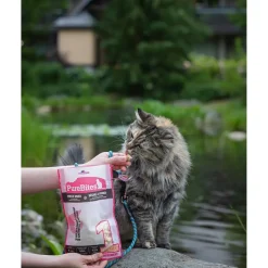 PureBites Wild-Caught Shrimp Freeze-Dried Pure Cat Treats 0.8-oz