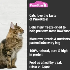 PureBites Wild Pacific Salmon Freeze-Dried Cat Treats 0.92-oz