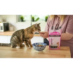 PureBites Wild Pacific Salmon Freeze-Dried Cat Treats 0.92-oz