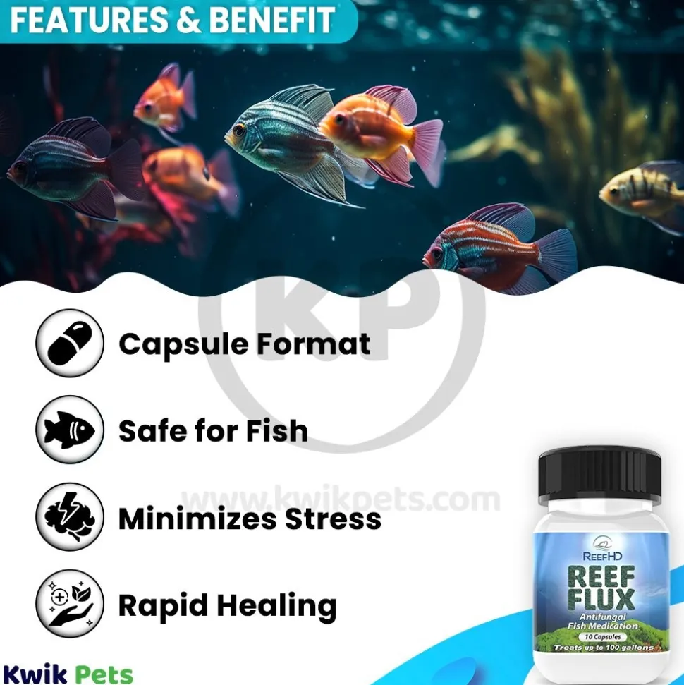 ReefHD Reef Flux Antifungal Fish Medication 10 Capsules