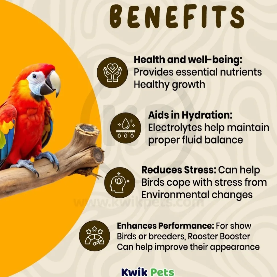 Rooster Booster Vitamins & Electrolytes LactoBacillus Poultry Supplement 8-oz