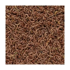 San Francisco Bay Brand Bloodworms Freeze-Dried Fish Food 1.75-oz