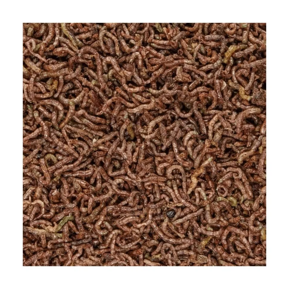 San Francisco Bay Brand Bloodworms Freeze-Dried Fish Food 1.75-oz