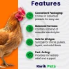 Sav-A-Chick Electrolyte & Vitamin Poultry Supplement 3 Count 0.25-oz