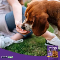 Savory Prime Natural Sweet Potato & Duck Jerky Dog Treats 16-oz