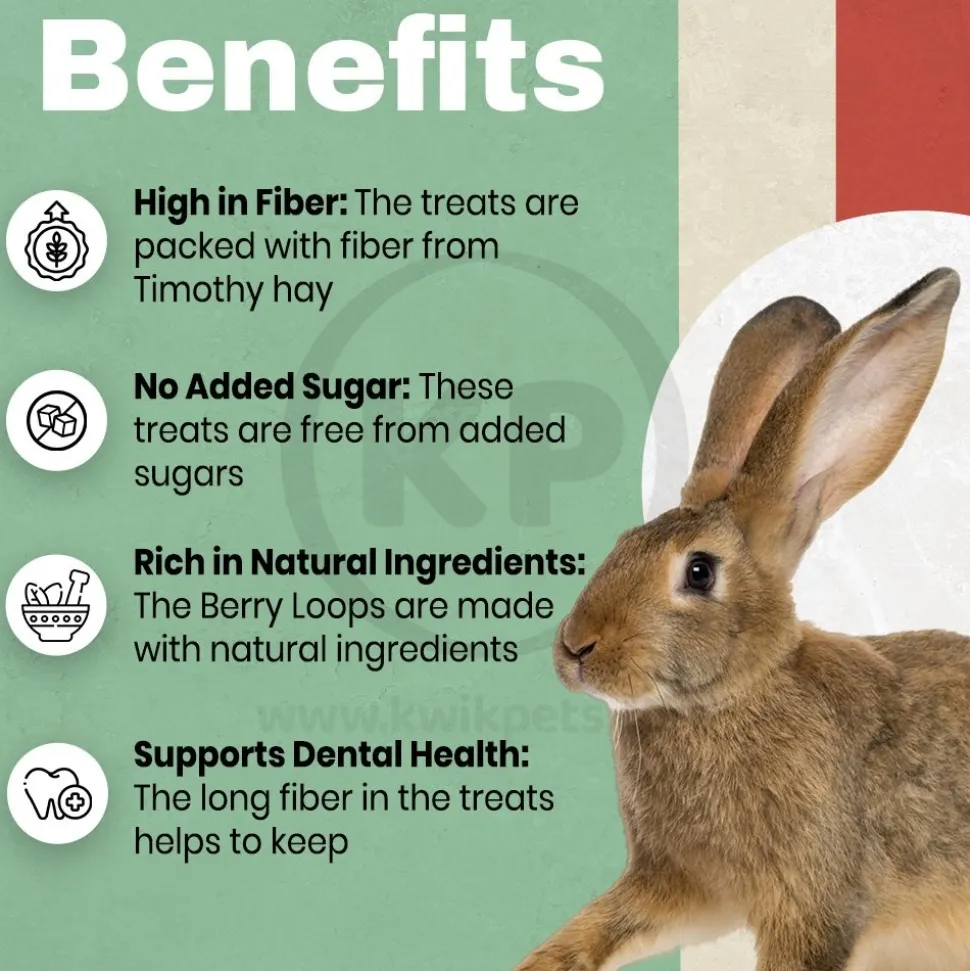 Science Selective Meadow Loops with Timothy Hay & Thyme Rabbit Treats 2.8-oz