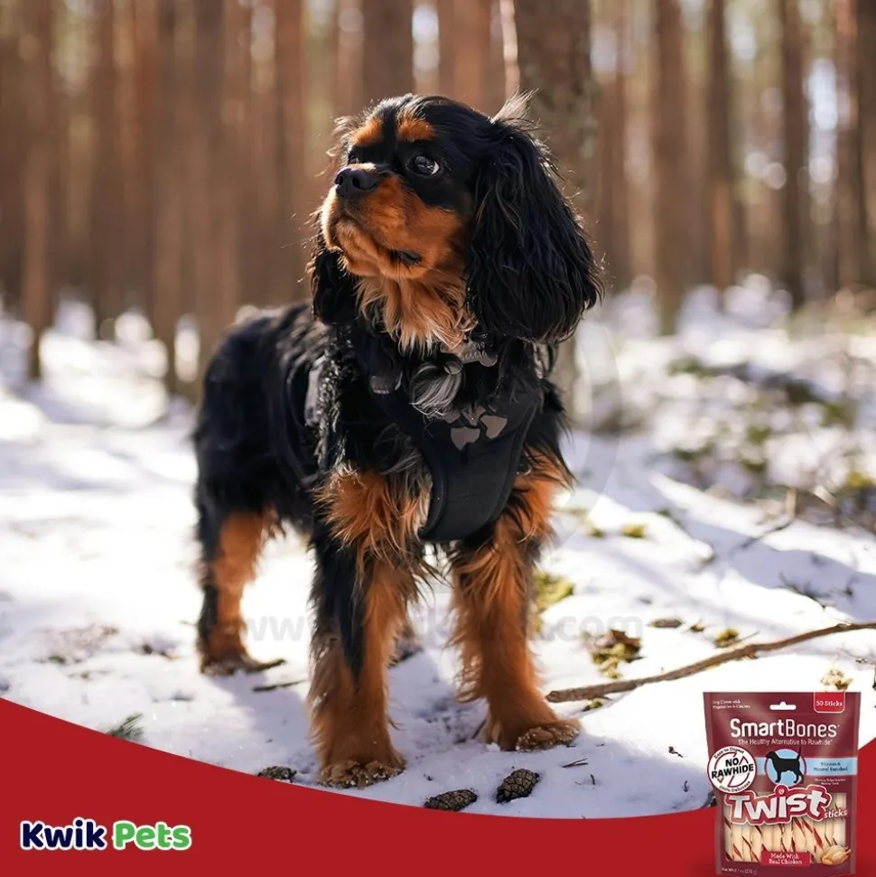 SmartBones Twist Sticks Dog Treat Chicken 50 Count 9.7-oz