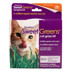 SmartyKat Sweet Greens Cat Grass Seed Kit 1-oz