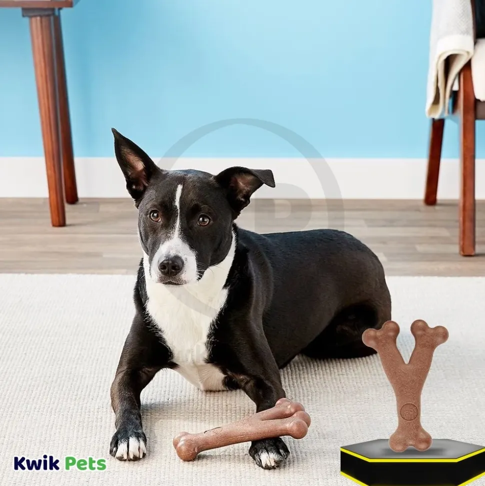 Spot Bam-Bones Wish Bone Dog Chew Toy Bacon Medium 5.25-in