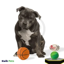 Spot Basketball Dog Toy Assorted 3-in