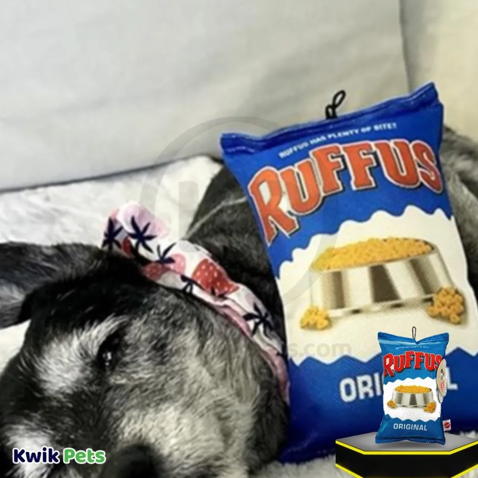 Spot Fun Food Dog Toy Ruffus Chips Multicolor 8-in
