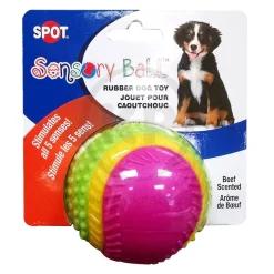 Spot Sensory Ball Dog Toy Assorted Medium 3.25-in