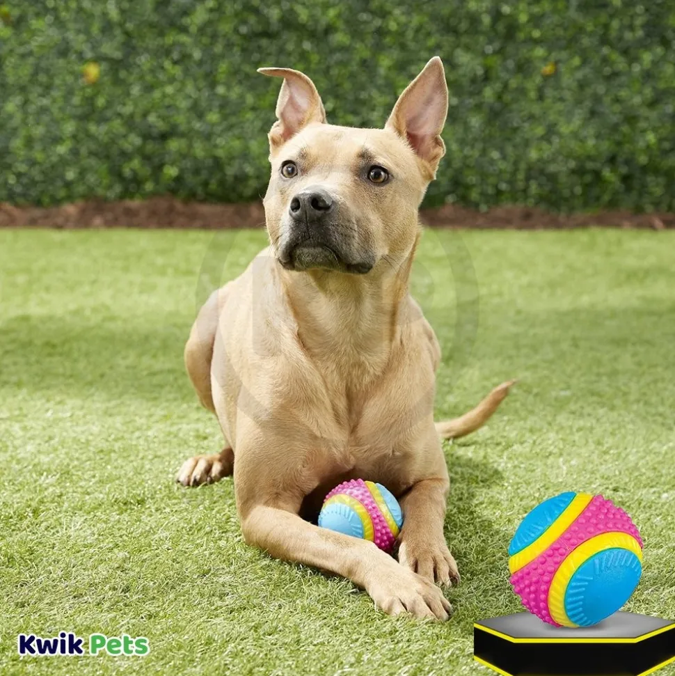 Spot Sensory Ball Dog Toy Assorted Medium 3.25-in